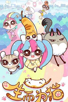 西城网站建设及优化